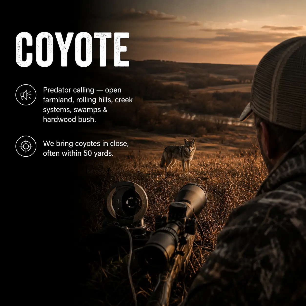 Trigger & Tickle Coyote 