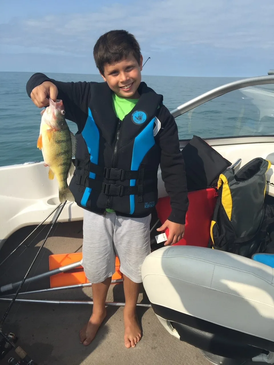 Yellow
Perch